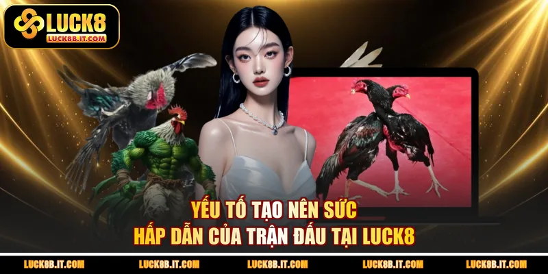 Yếu tố tạo nên sức hấp dẫn của trận đấu tại LUCK8